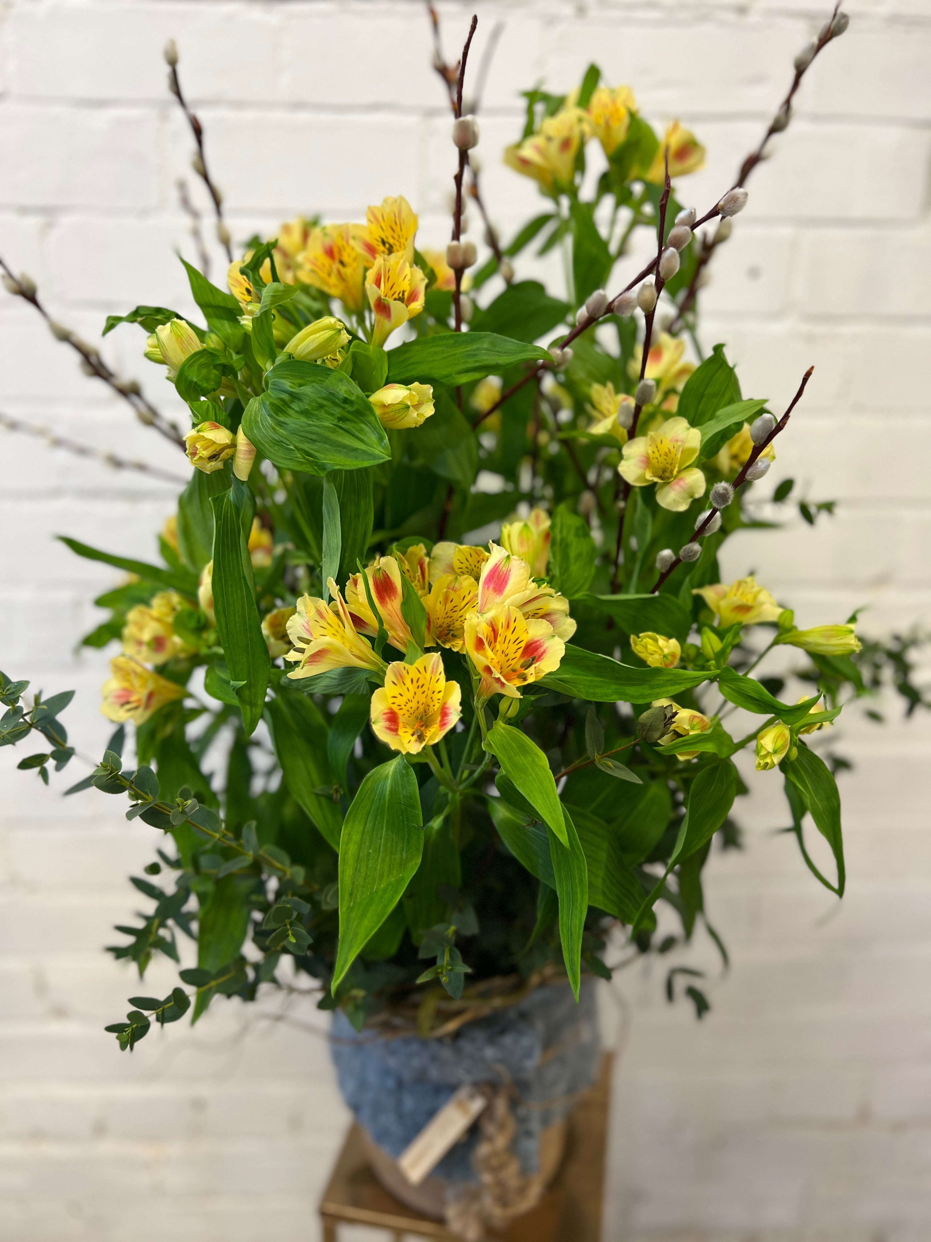Alstromeria Cornish Stem Grade 10 Stems - Rhubarb & Custard